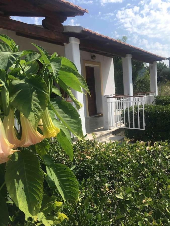 Thanos Rooms Arillas  Bagian luar foto